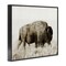 Stupell Industries Bison Grazing in Field Framed Giclee Wall Art Design by Dan Meneely